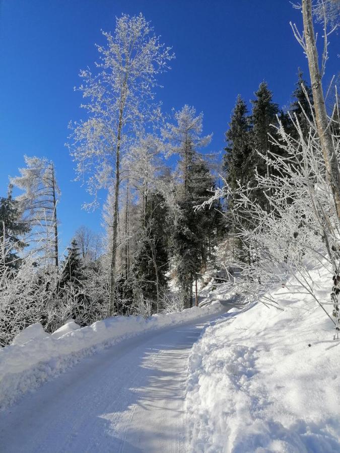 Kanis 80 Schnepfau Esterno foto